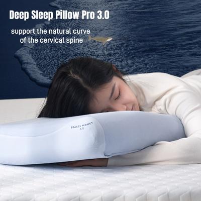 Deep sleep Pro3.0 pillow Hotel pillow 